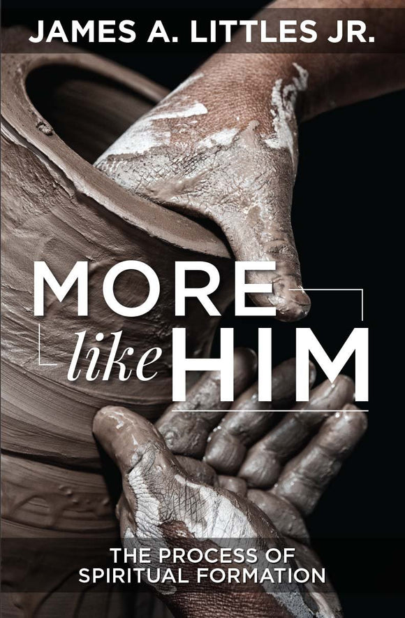 More Like Him: The Process of Spiritual Formation (eBook)